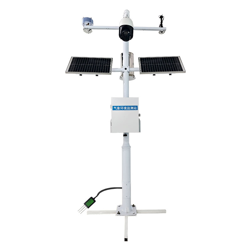 //www.tthwang.com/zhnyqxz/916.html